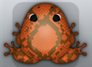 Cocos Carota Serpentis Frog from Pocket Frogs