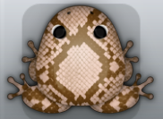 Cocos Ceres Serpentis Frog from Pocket Frogs