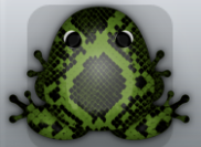 Olive Picea Serpentis Frog from Pocket Frogs