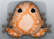 Tangelo Ceres Serpentis Frog from Pocket Frogs