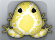 White Aurum Serpentis Frog from Pocket Frogs