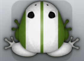 Olive Albeo Shelbus Frog from Pocket Frogs