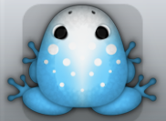 Azure Albeo Signum Frog from Pocket Frogs