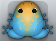 Azure Chroma Signum Frog from Pocket Frogs