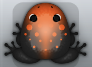 Black Carota Signum Frog from Pocket Frogs