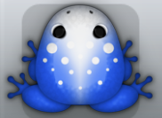 Blue Albeo Signum Frog from Pocket Frogs