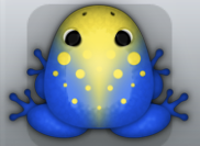 Blue Aurum Signum Frog from Pocket Frogs