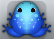 Blue Callaina Signum Frog from Pocket Frogs