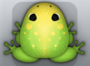 Green Aurum Signum Frog from Pocket Frogs