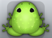 Green Folium Signum Frog from Pocket Frogs