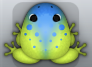 Lime Caelus Signum Frog from Pocket Frogs