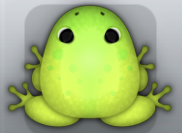 Lime Folium Signum Frog from Pocket Frogs