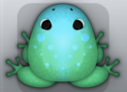 Marine Callaina Signum Frog from Pocket Frogs