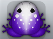 Purple Albeo Signum Frog from Pocket Frogs