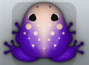 Purple Ceres Signum Frog from Pocket Frogs
