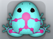 Aqua Floris Skeletos Frog from Pocket Frogs