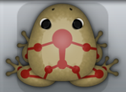 Beige Tingo Skeletos Frog from Pocket Frogs