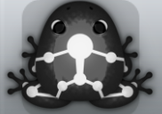 Black Albeo Skeletos Frog from Pocket Frogs