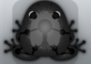 Black Picea Skeletos Frog from Pocket Frogs