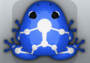 Blue Albeo Skeletos Frog from Pocket Frogs