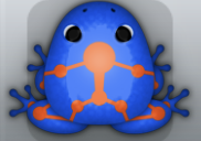 Blue Carota Skeletos Frog from Pocket Frogs