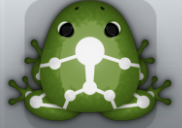 Olive Albeo Skeletos Frog from Pocket Frogs