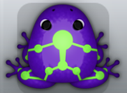 Purple Muscus Skeletos Frog from Pocket Frogs