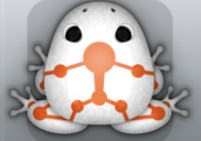 White Carota Skeletos Frog from Pocket Frogs