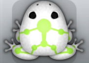 White Folium Skeletos Frog from Pocket Frogs