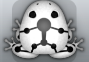 White Picea Skeletos Frog from Pocket Frogs