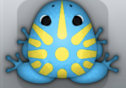 Azure Aurum Sol Frog from Pocket Frogs