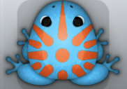 Azure Carota Sol Frog from Pocket Frogs