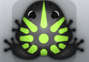 Black Folium Sol Frog from Pocket Frogs