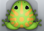 Green Chroma Sol Frog from Pocket Frogs