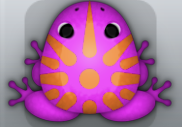 Pink Chroma Sol Frog from Pocket Frogs