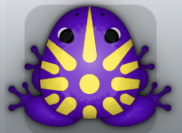 Purple Aurum Sol Frog from Pocket Frogs