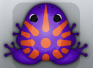 Purple Chroma Sol Frog from Pocket Frogs