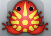 Red Aurum Sol Frog from Pocket Frogs
