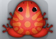 Red Chroma Sol Frog from Pocket Frogs