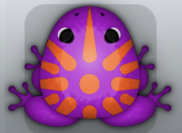 Royal Carota Sol Frog from Pocket Frogs