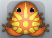 Tangelo Aurum Sol Frog from Pocket Frogs