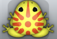 Yellow Chroma Sol Frog from Pocket Frogs