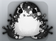 Black Albeo Spargo Frog from Pocket Frogs