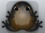 Black Bruna Spargo Frog from Pocket Frogs