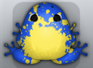 Blue Aurum Spargo Frog from Pocket Frogs