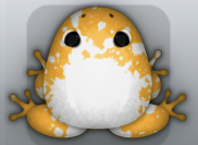 Orange Albeo Spargo Frog from Pocket Frogs