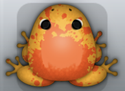 Orange Carota Spargo Frog from Pocket Frogs