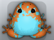 Tangelo Callaina Spargo Frog from Pocket Frogs