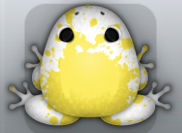 White Aurum Spargo Frog from Pocket Frogs