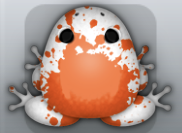 White Carota Spargo Frog from Pocket Frogs